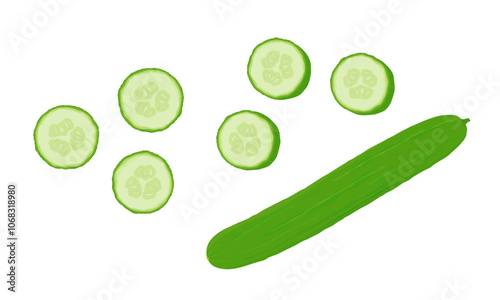 Cucumber slices isolated on white. Hand drawn vector illustration. Vegetable, salad, green.
