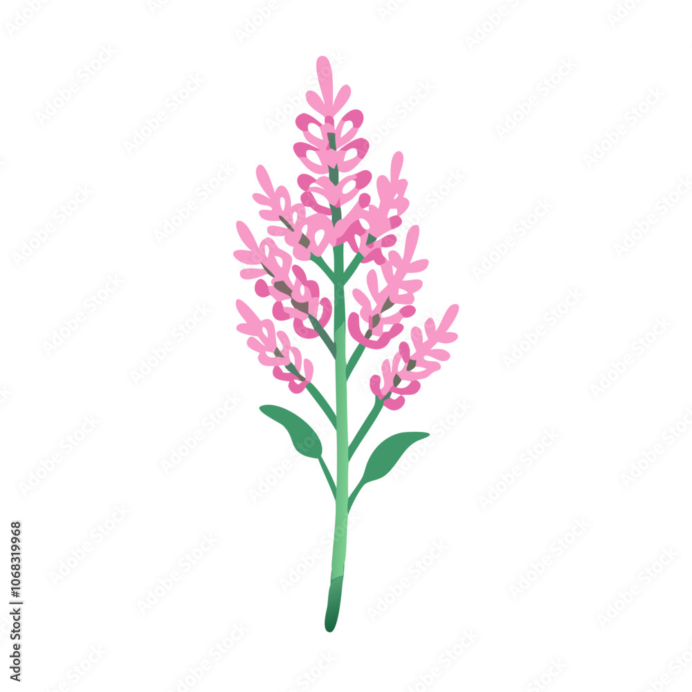 astilbe flower vector icon, vector flower illustration, flower icon - simple vector illustration of a astilbe flower, ideal for floral designs, botanical art, and nature-themed projects.. astilbe flower vector icon, vector flower illustration, flower icon - simple vector illustration of a astilbe flower, ideal for floral designs, botanical art, and nature-themed projects..