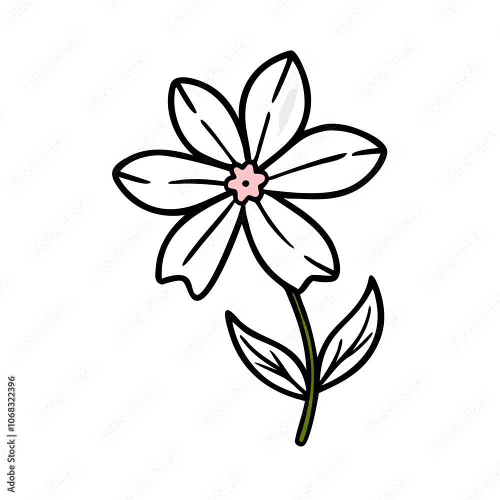 illustration of a flower illustration of a flower