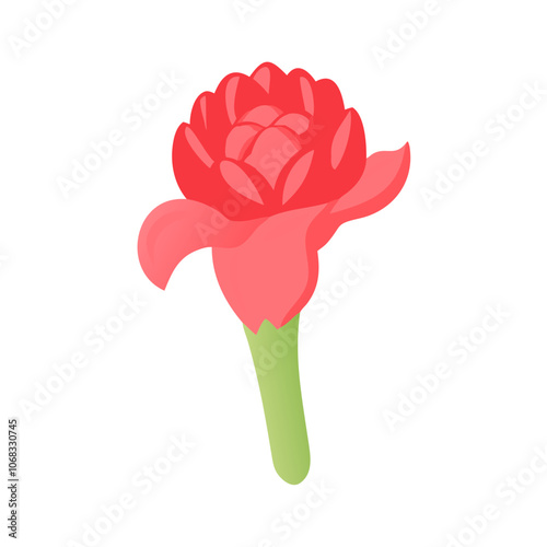 Vibrant red torch ginger flower illustration, a tropical bloom with layered petals and a green stem, perfect for botanical designs, nature-themed branding, and exotic floral graphics.