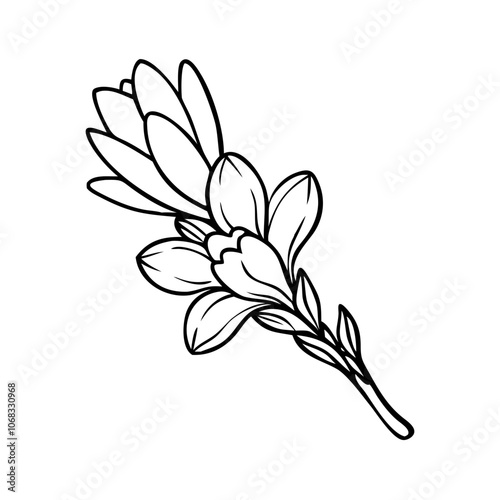 Elegant Black and White Outline Drawing of a Single Flower Stem with Multiple Blooms and Buds, Hand-Drawn Vector Illustration for Botanical Designs