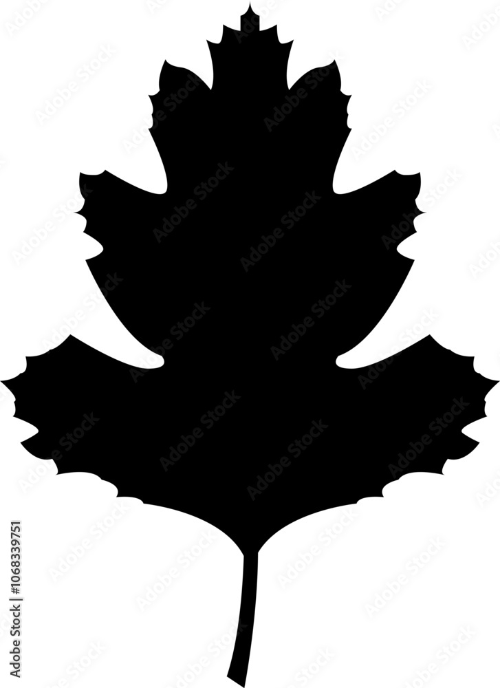 Leaf icon. Set of green leaf icons. Eco, bio, natural, vegan icon. Leaves of trees and plants. Leaves icon Collection. Vector illustration . Leaf icon. Set of green leaf icons. Eco, bio, natural, vegan icon. Leaves of trees and plants. Leaves icon Collection. Vector illustration .