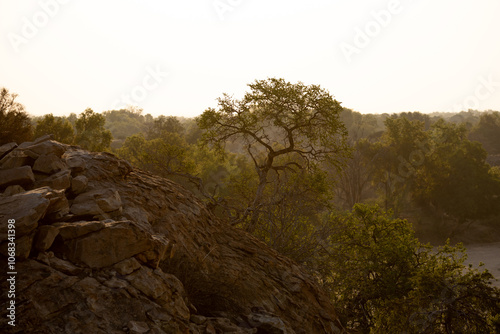 a scenic sunset in Botswana. photo