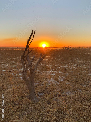 Lake Ngami Sunset