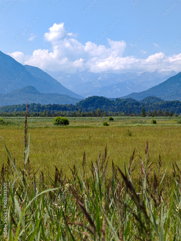 Moor, mountains, Alpine foothills, Staffelsee, Murnau, swamp Moor, mountains, Alpine foothills, Staffelsee, Murnau, swamp