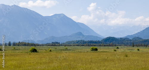 Moor, mountains, Alpine foothills, Staffelsee, Murnau, swamp