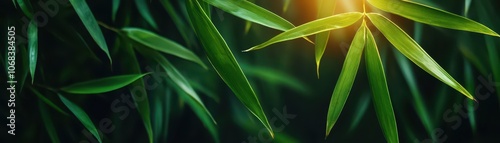 Sunlight Filters Through a Serene Bamboo Forest, Creating a Tranquil and Enchanting Atmosphere