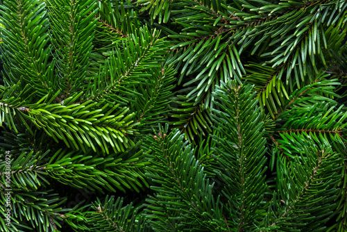 Obraz na płótnie Fresh branches of Fir tree as background. Flat lay. Selective focus. w salonie