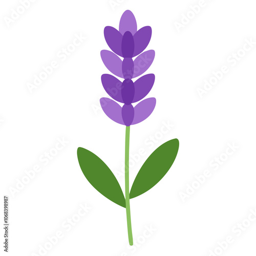 Detailed Lavender Summer Bloomer Vector.