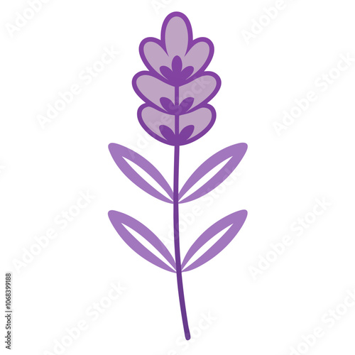 Detailed Lavender Summer Bloomer Vector.