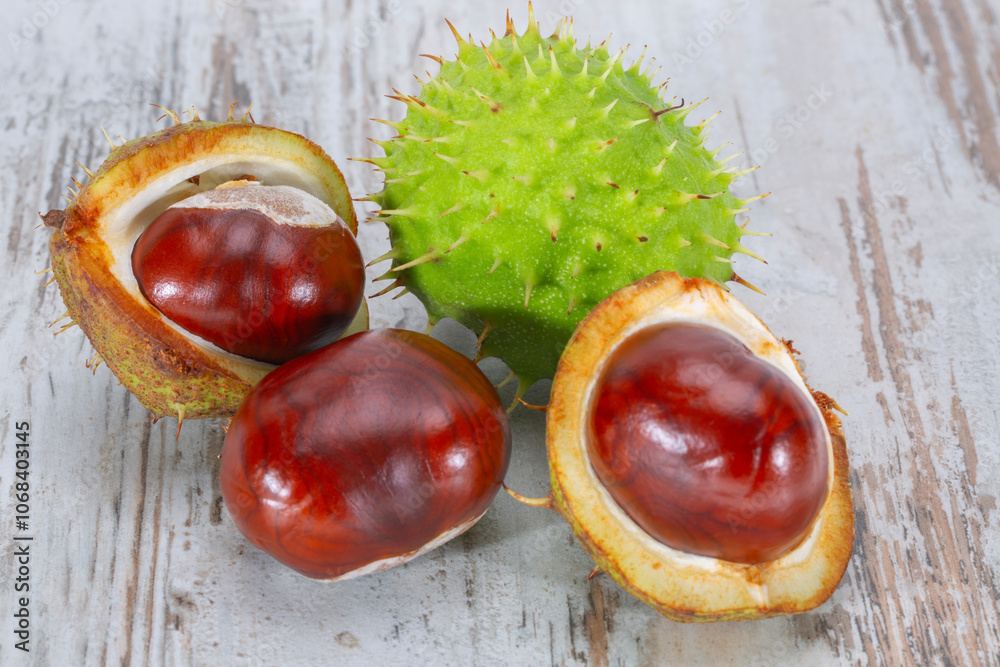 Group of fresh chestnuts on wooden plank, close up