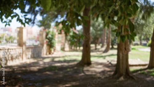 Park scene with blurred trees and stone structures creating a defocused background with bokeh effect