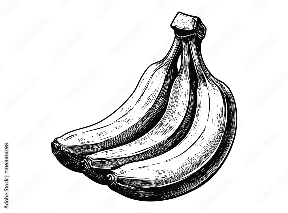 Φωτογραφία Antique-Style Woodcut Illustration of Bananas in Detailed Line Art