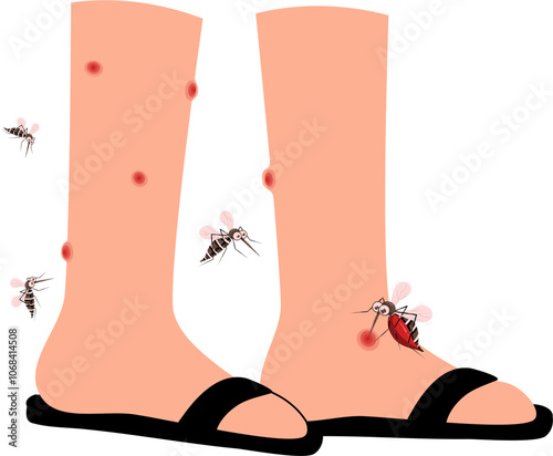 Mosquito bite illustration 