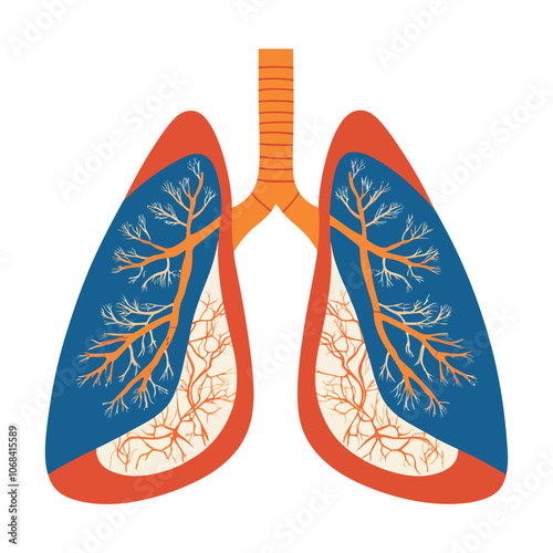Educational Flat Vector Illustration of Lungs with Bronchial and Airway Details