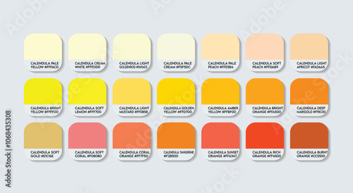 Calendula Color Palette, Calendula Flower Color Guide Palette with Color Names. Catalog Samples of Calendulas RGB HEX codes. Calendula yellow variations, Fashion Trend Orange Calendula Color Palette