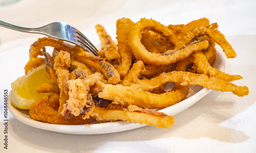Fried Squid, Spanish Delicacy, Spanish Gastronomy, Cantabria, Spain, Europe