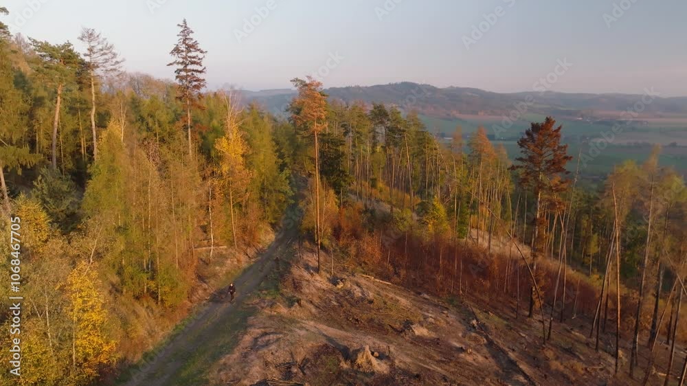 Man walks along a road in the hills at sunset. Nature affected by fire regenerates. Aerial view from a drone Man walks along a road in the hills at sunset. Nature affected by fire regenerates. Aerial view from a drone