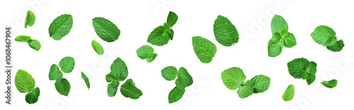 Mint leaves floating in the air on a transparent background,