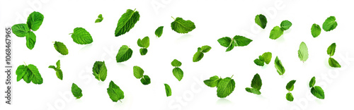 Mint leaves floating in the air on a transparent background,