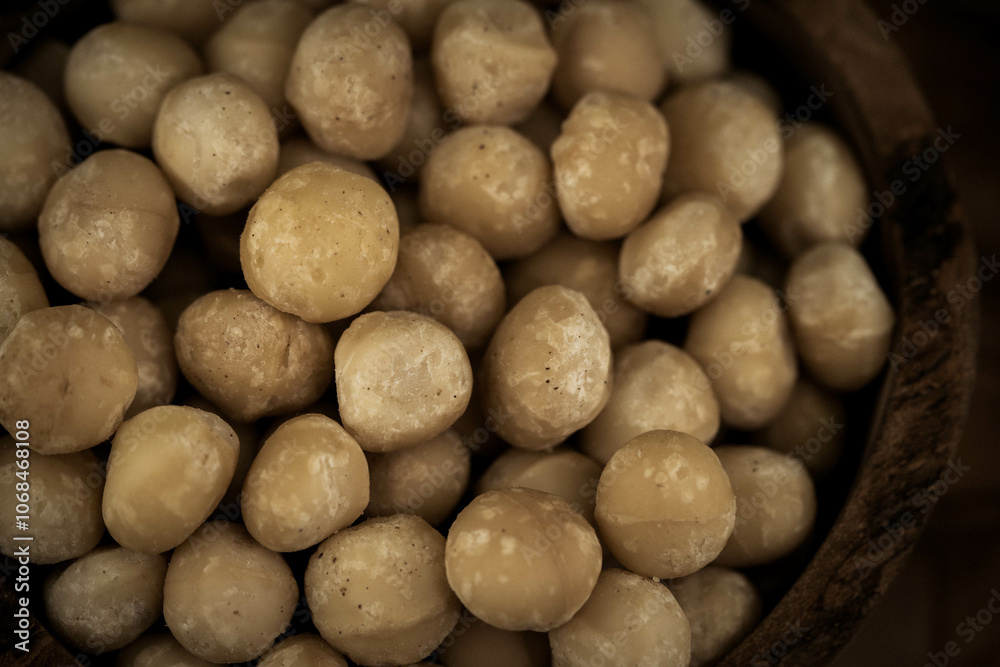 Macadamia Nüsse Macadamia integrifolia auf Olivenholz Macadamia Nüsse Macadamia integrifolia auf Olivenholz