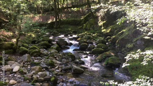 River in a mountain valley with vegetation, trees and morning light, Mondim de Basto, norte de Portugal