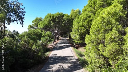 Viale alberato di una pineta in riva al mare. Cilento, Italia.
Passaggio col drone in un viale sotto i pini marittimi tipici della cosata italiana. photo