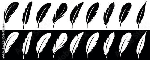 Collection of feather in a flat style. Set of bird feather in different shapes. Black quill feather silhouette. Plumelet vector illustration isolated on white and black background. photo