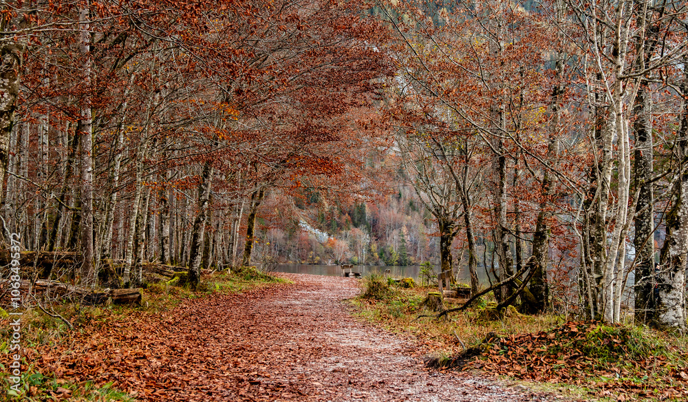 Obraz premium In autumn, Germany’s Königssee becomes a serene mirror, reflecting fiery trees and rugged peaks. At its end, the idyllic St. Bartholomä Church stands in quiet beauty, a timeless lakeside gem.