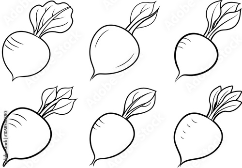 Set of white radish outline coloring book page line art vector illustration