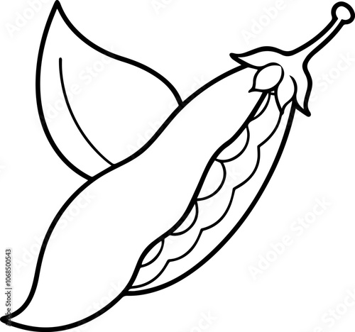winged bean outline coloring book page line art vector illustration