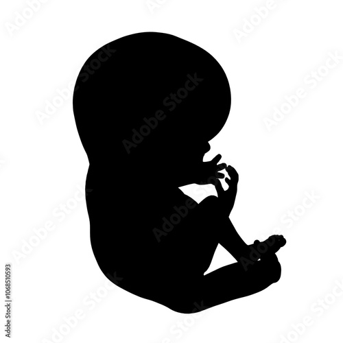 Fetus graphic icon silhouette. Embryo human silhouette sign isolated on white background. Vector illustration
