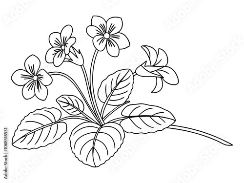 African violet in continuous line art drawing style. Saintpaulia flowering plant black linear sketch isolated on white background