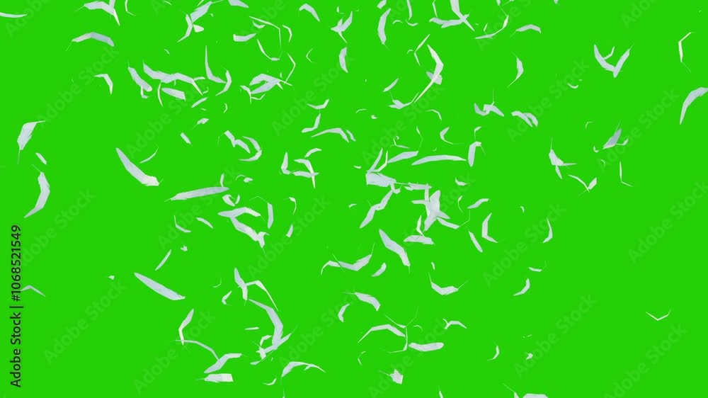 Circling feathers motion in three dimensions. Numerous flowing particles animation on green screen. Circling feathers motion in three dimensions. Numerous flowing particles animation on green screen.