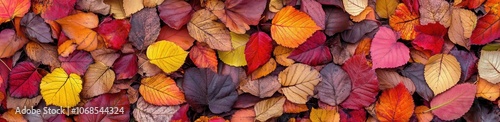 A colorful bunch of autumn leaves is carefully stacked on top of each other