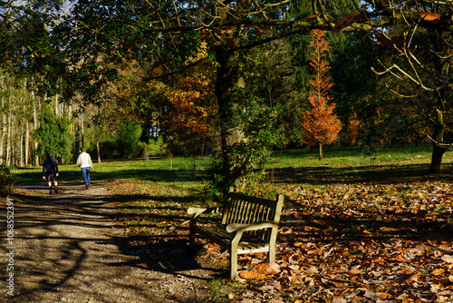 A couple enjoying a walk along a gravel path surrounded by colourful autumn foliage, RHS, Harlow Carr, Harrogate, Yorkshire. photo