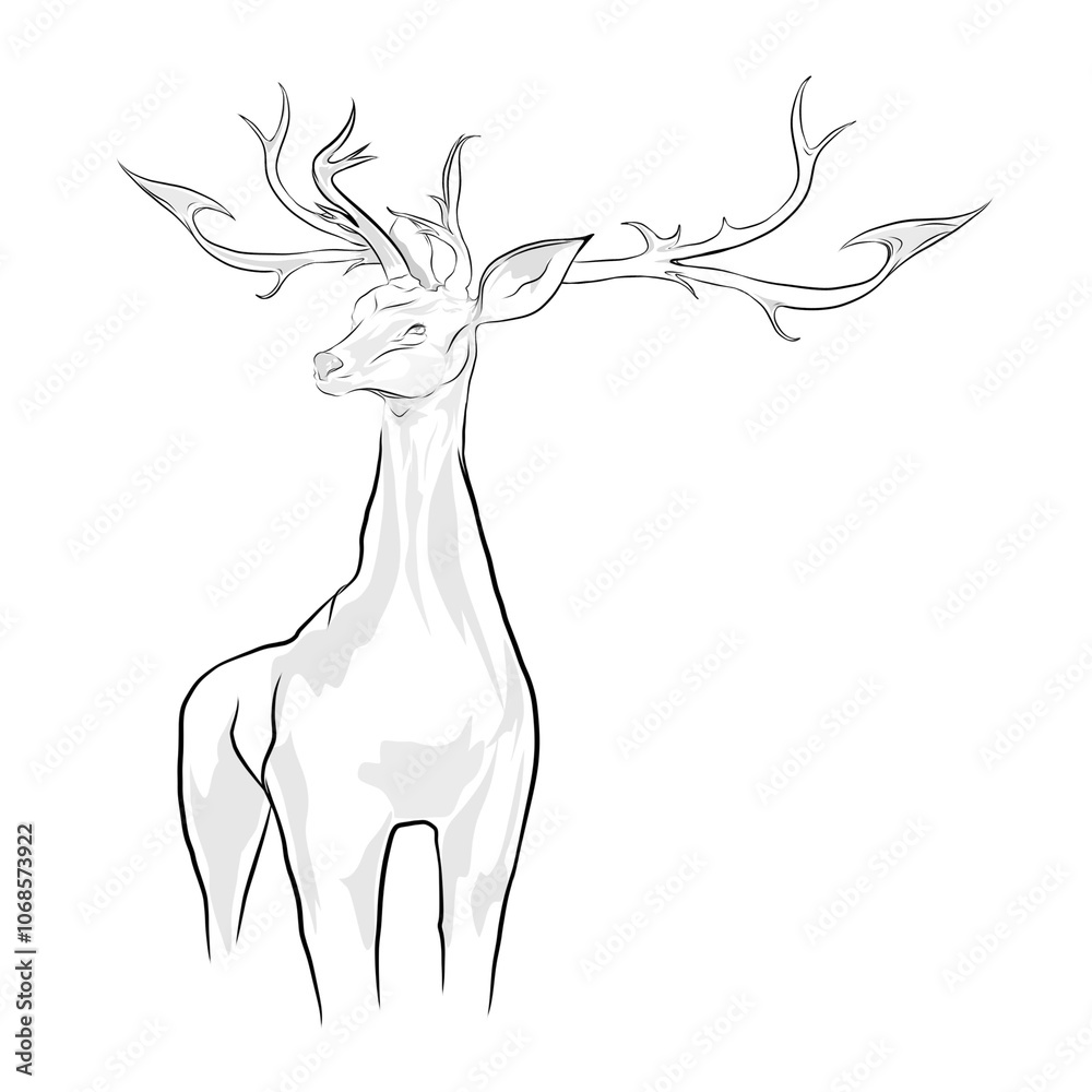 sketch of a male deer with long branched antlers on a white background sketch of a male deer with long branched antlers on a white background