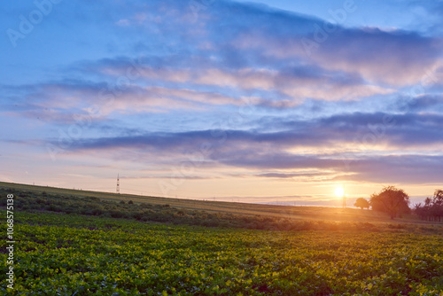 Dramatic Sunset Over Golden Field: Cinematic Landscape with Sun Rays and Vibrant Sky. Breathtaking Rural Scene Blending Summer Greenery and Autumn Hues in Atmospheric Evening Light.