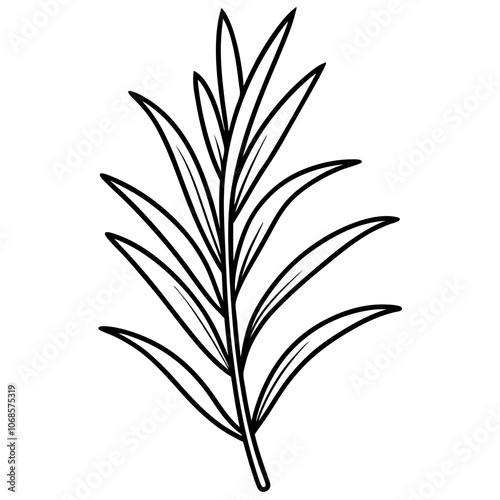 Line art of a Rosemary icon. Vector illustration 
