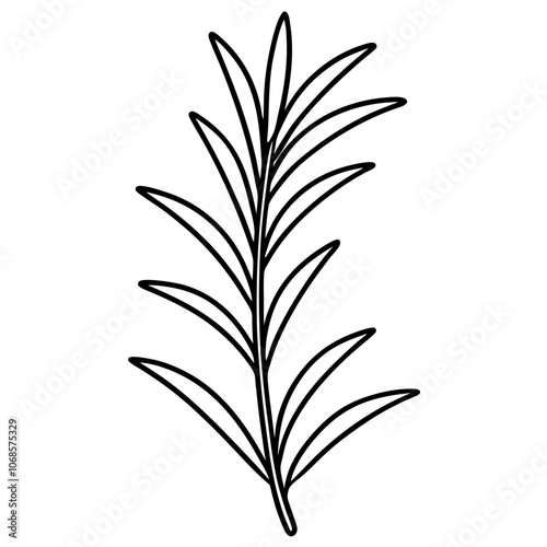 Line art of a Rosemary icon. Vector illustration 
