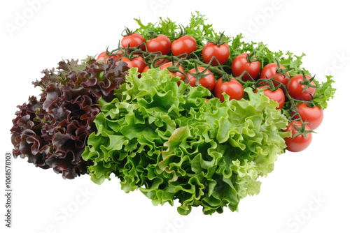 fresh green salad with red toamtoes isolated on white or transparent png photo