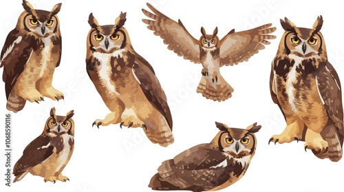 owl watercolor clipart