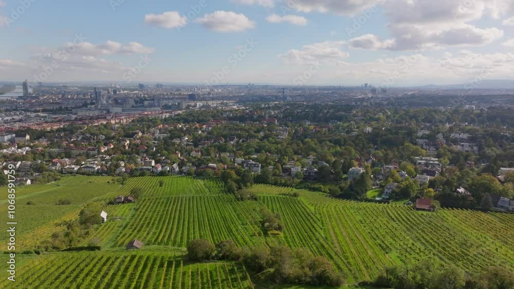 Beautiful aerial view of Vienna, Austria, showcasing lush vineyards in the foreground and the impressive cityscape in the background Beautiful aerial view of Vienna, Austria, showcasing lush vineyards in the foreground and the impressive cityscape in the background