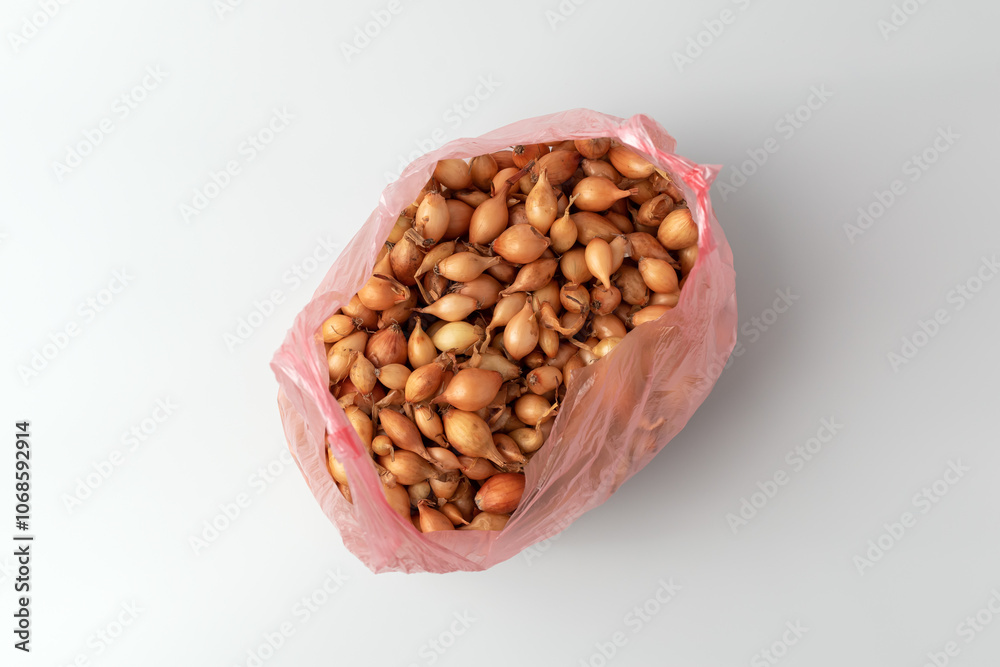 Young onion, spring bulbs, onion sets, isolated on white background. Young onion, spring bulbs, onion sets, isolated on white background.