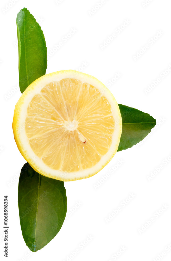 Side view of yellow lemon half with green leaves isolated with clipping path in png file format