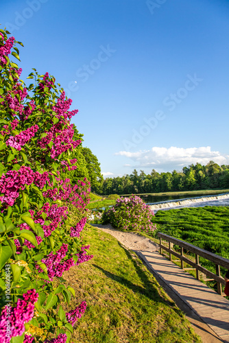 Venta Rapid waterfall Ventas rumba in Kuldiga, the widest waterfall in Europe, designated a natural monument of Latvia photo