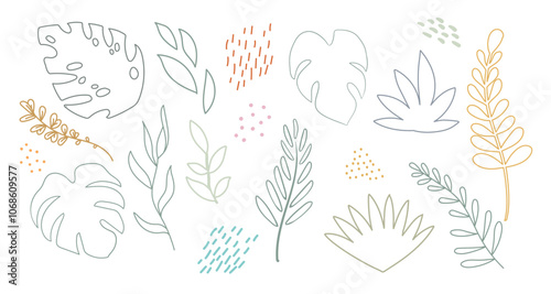 Abstract design elements set of contour exotic leaves