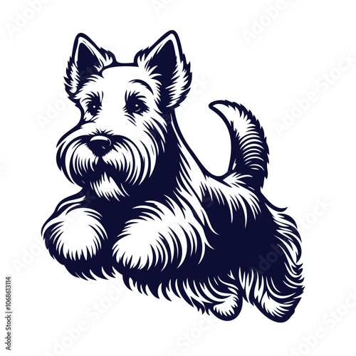 Scottish Terrier dog Jumping pose, on transparent background. Clean mascot vector silhouette, illustration of Scottish Terrior dog 
