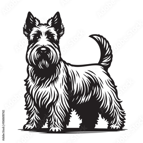 Scottish Terrier dog standing looking front pose ,clean vector illustration on white background, Black silhouettes outlines sketch of Scottish Terrior Dog, Puppy, Tomy