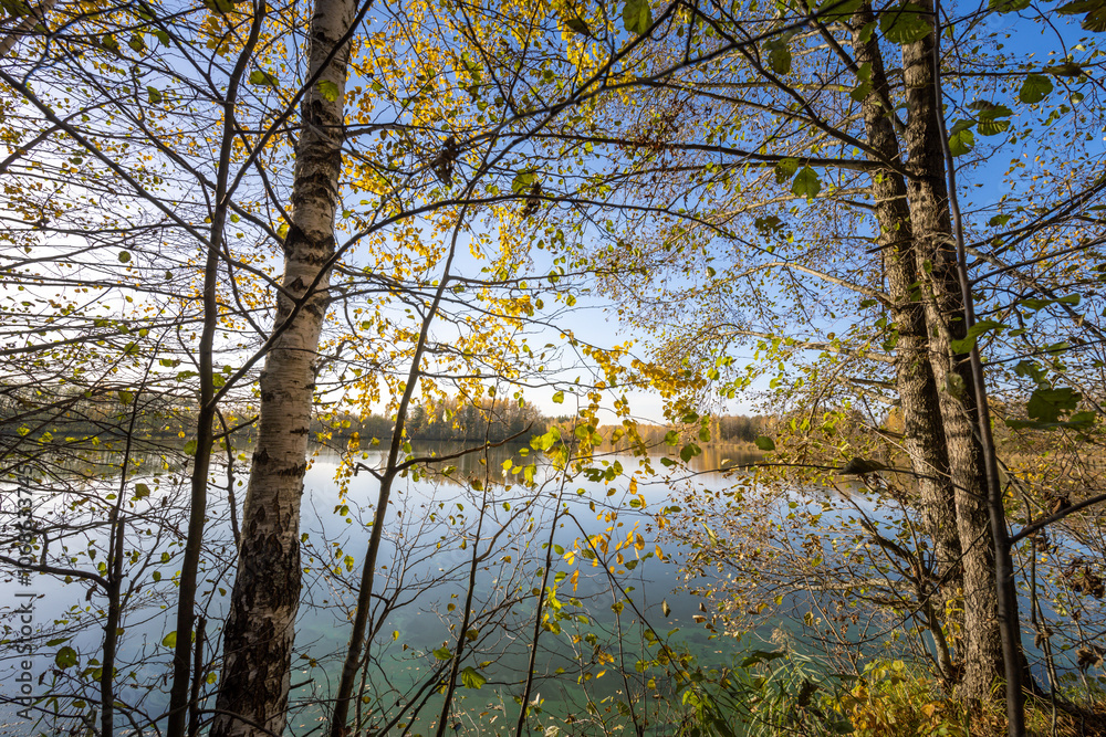 Obraz premium A beautiful view of a lake with trees in the background